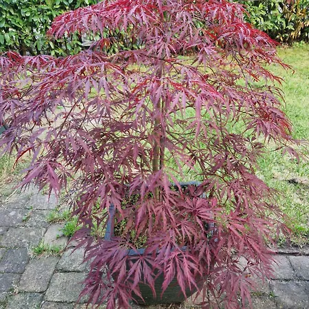 Ons 캠프장 비크버겐