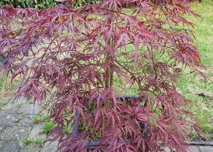 Ons Camping Beekbergen